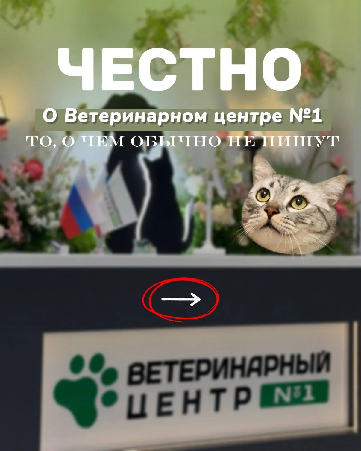 ЧЕСТНО О ВЕТЕРИНАРНОМ ЦЕНТРЕ Nº1 ❗️🐾