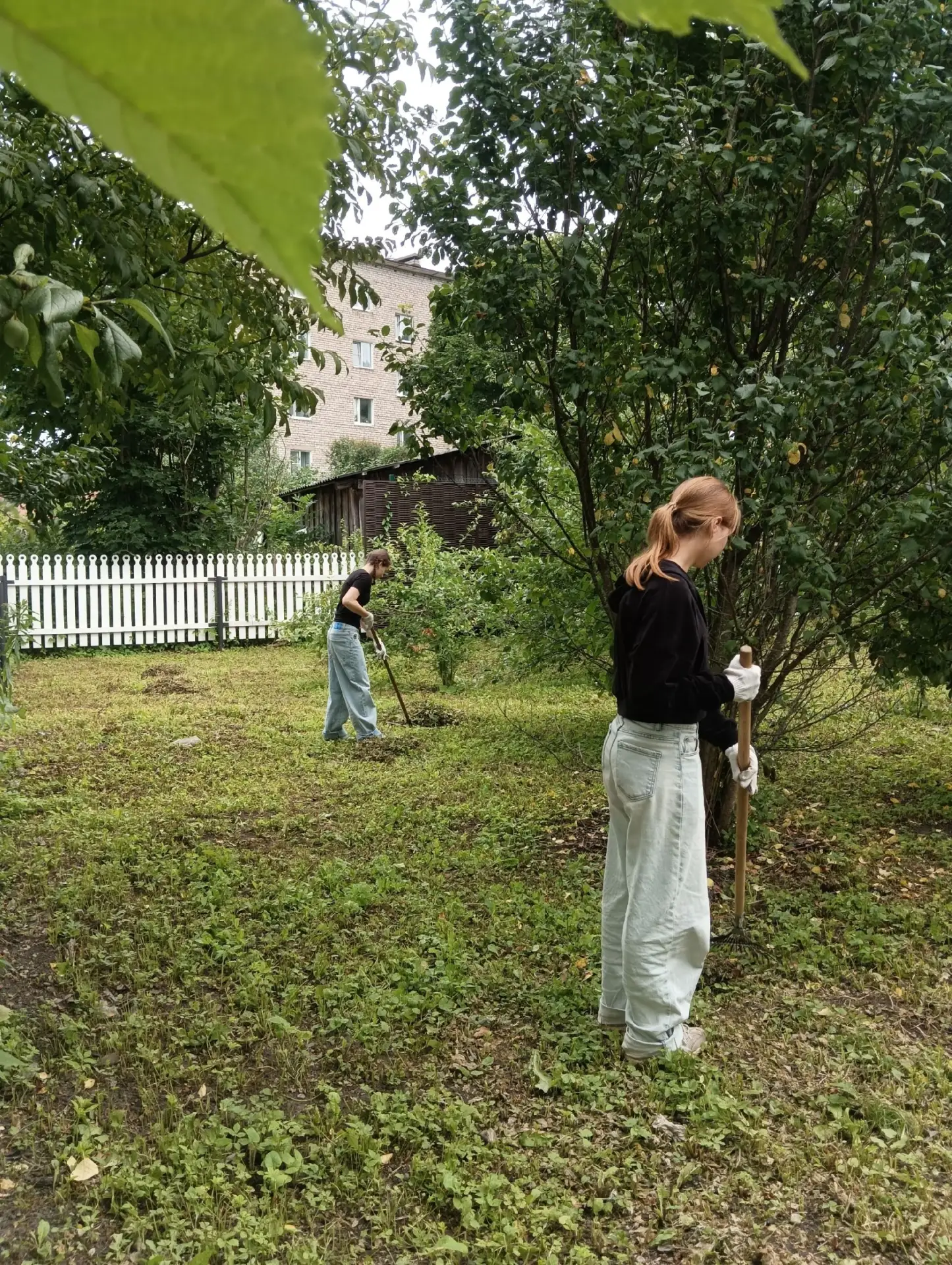 В Торопецкой центральной библиотеке закончилась вторая, заключительная, смена трудоустр...