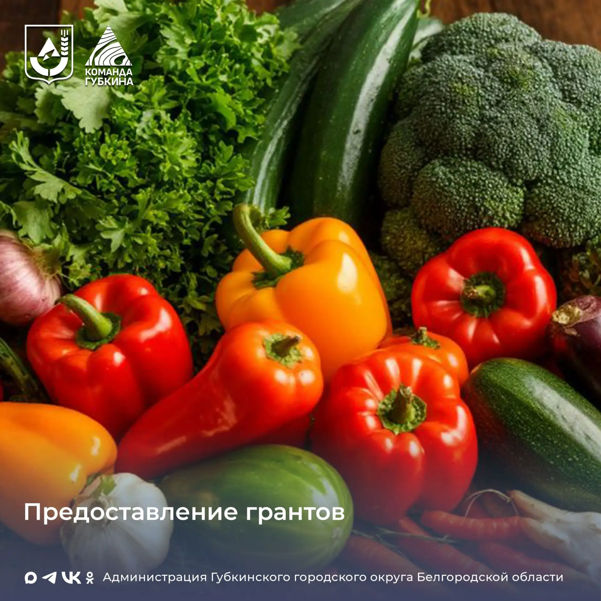 Проводится конкурс по предоставлению грантов на развитие сельскохозяйственных потребительских коопер