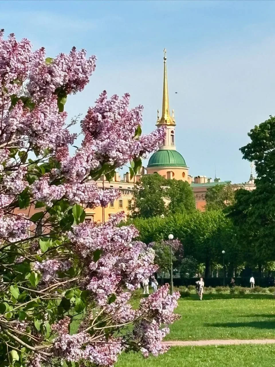 🪻 Найдено еще одно сиреневое место  В конце мая — начале июня Марсово поле традиционно превращается 