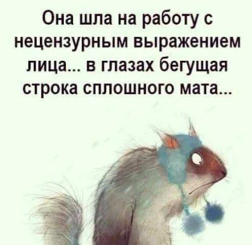 КУКУРУЗА 🌽