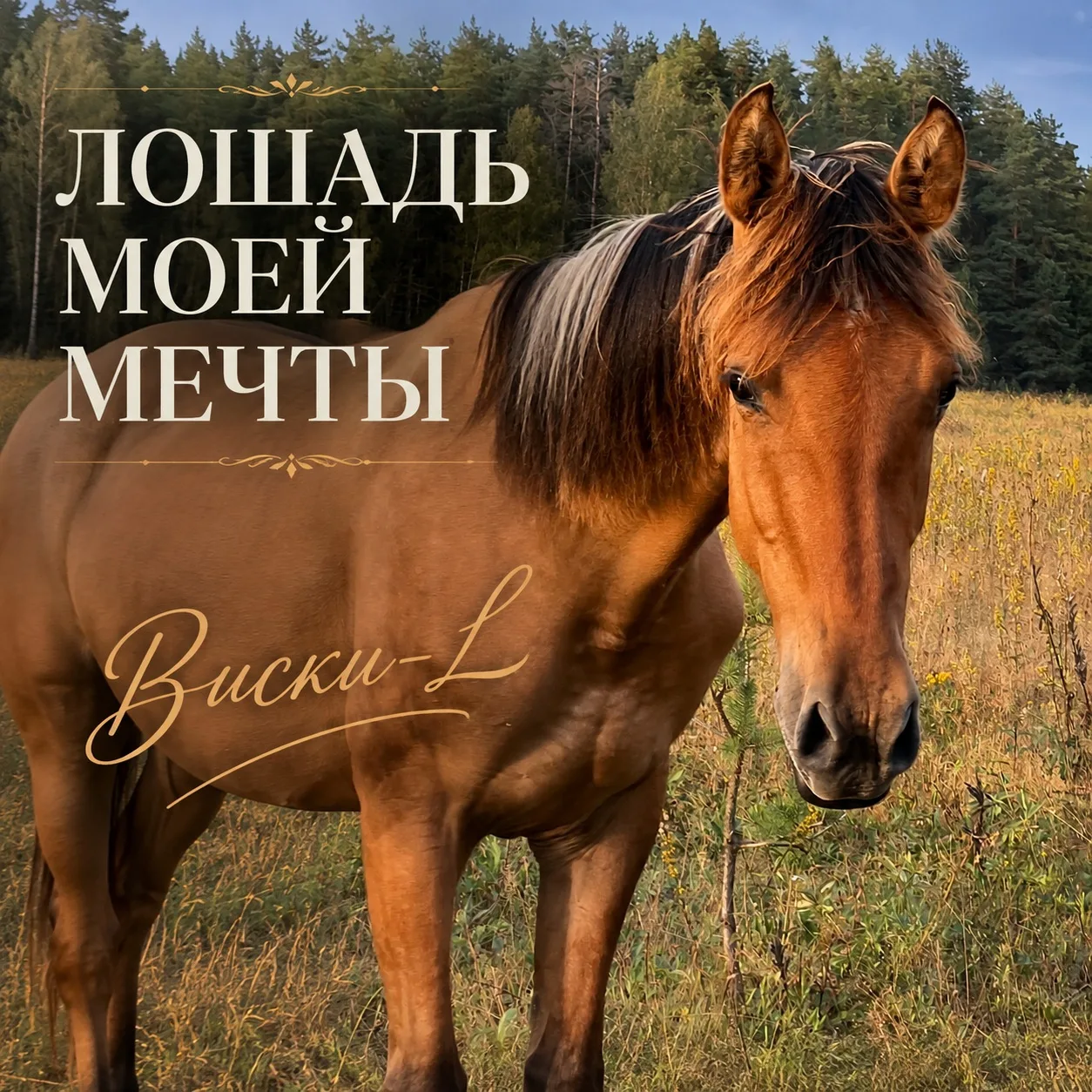 Продолжаем новую рубрику - Лошадь моей мечты💙