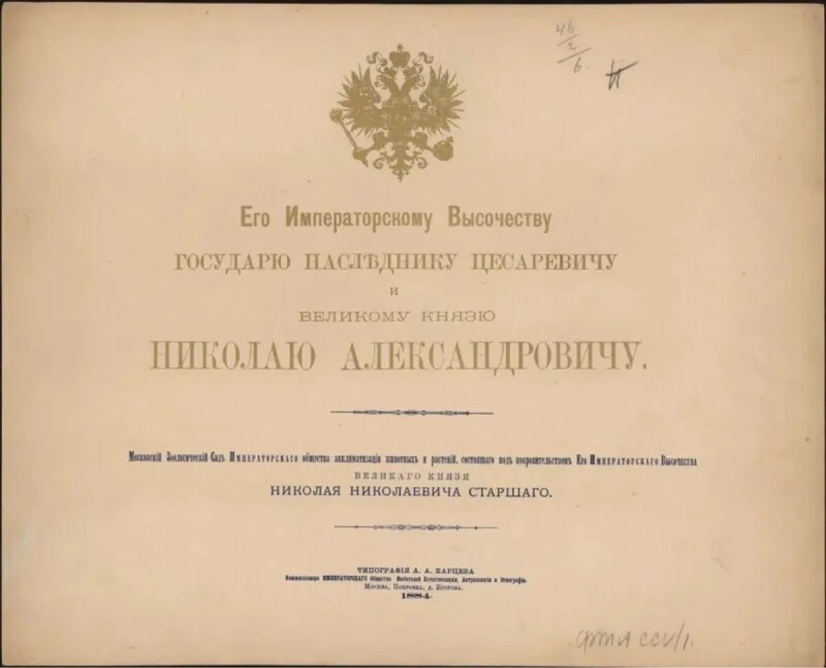 🤔 Курятник? А может лучше птичник для куриных птиц?...

Перед вами альбом «Московский зоологический
