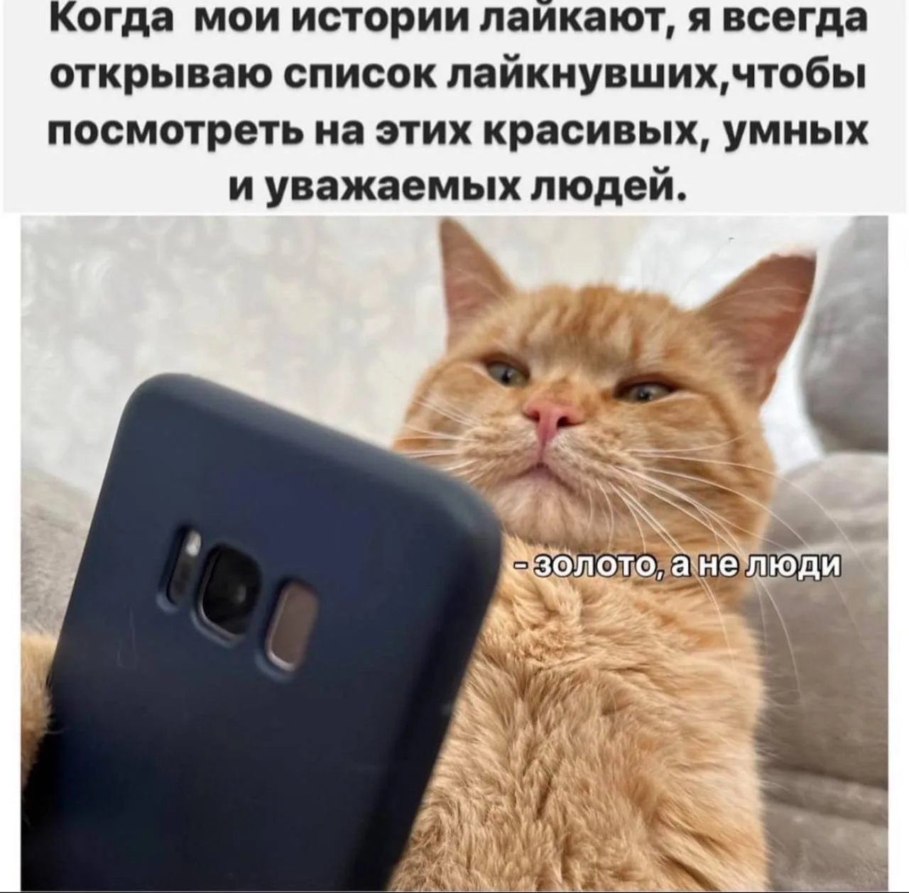 Чисто я. Впрочем, как и любой админ или автор канала. Мы не видим здесь, кто именно нам...