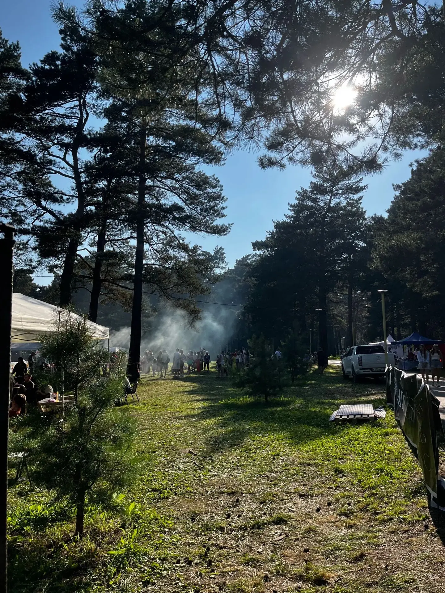 Снова вырвались в Зенковский парк! 🌳 На этот раз целенаправились на Фестиваль пикника 🧺