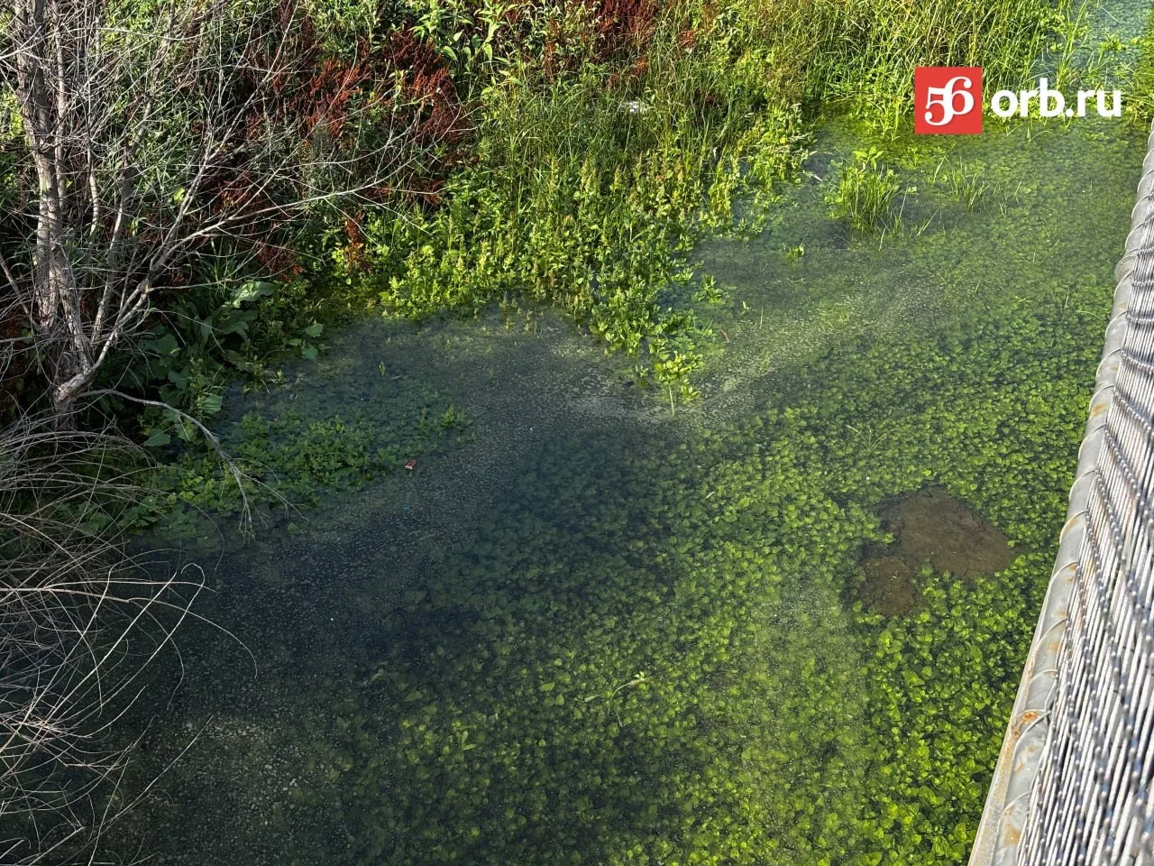 Озеро под Тропой здоровья в Оренбурге снова наполняется водой.