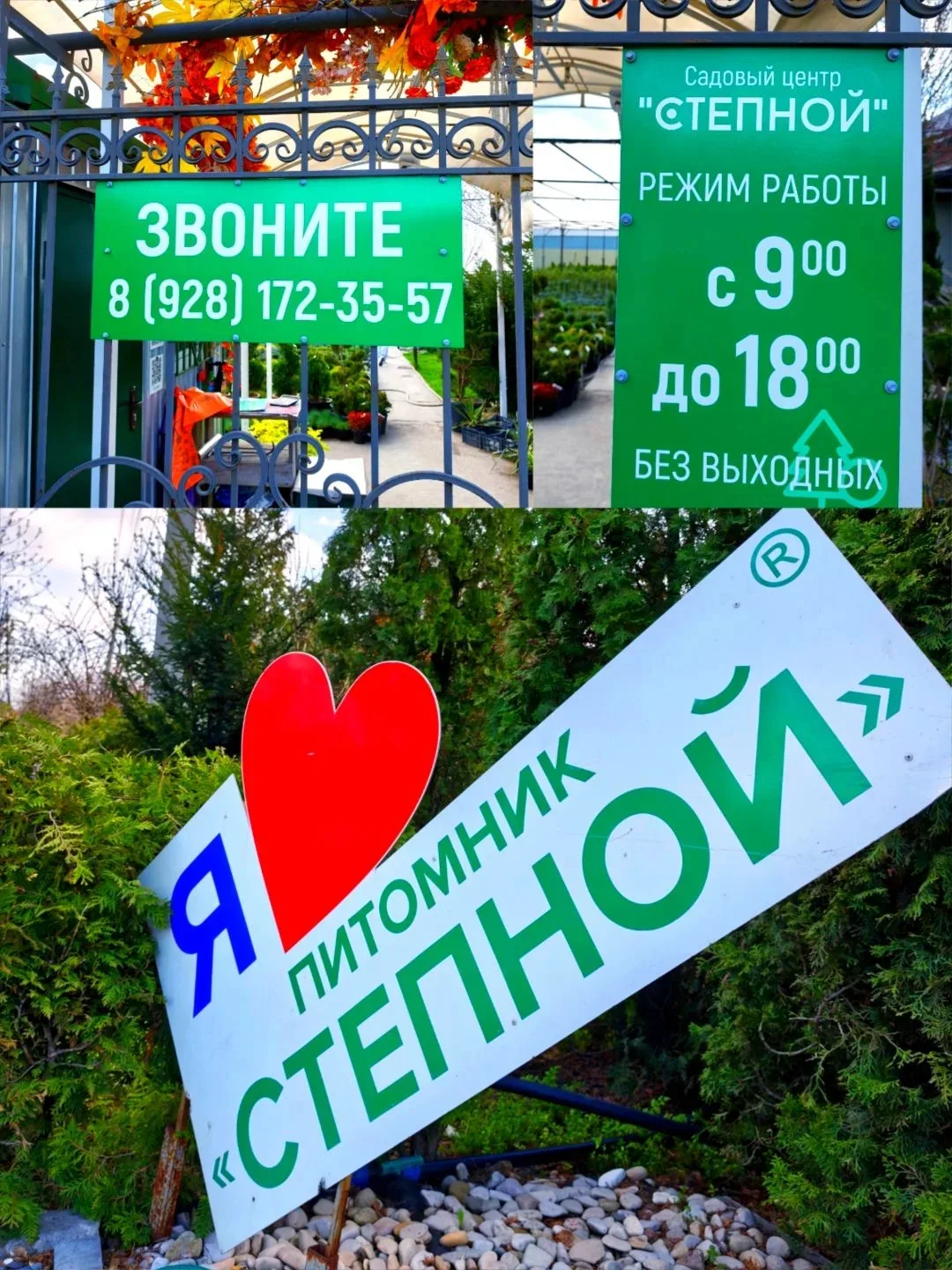 ПИТОМНИК "СТЕПНОЙ" г.Шахты приглашает Вас подобрать хвойные и декоративные растения премиального кач