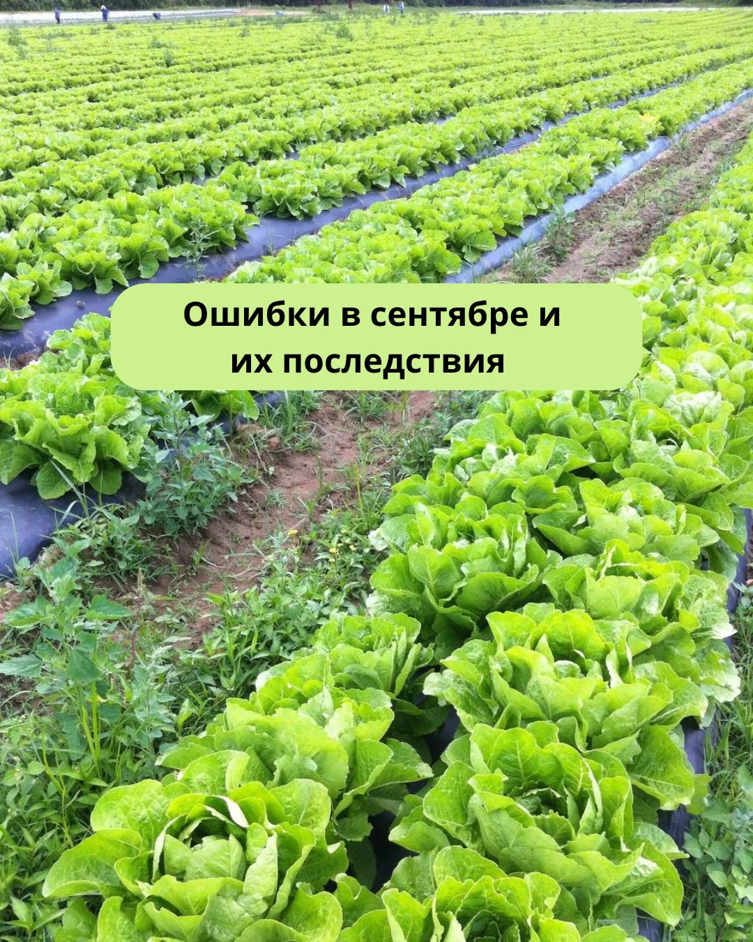 Есть решения, последствия которых становятся видны только весной.