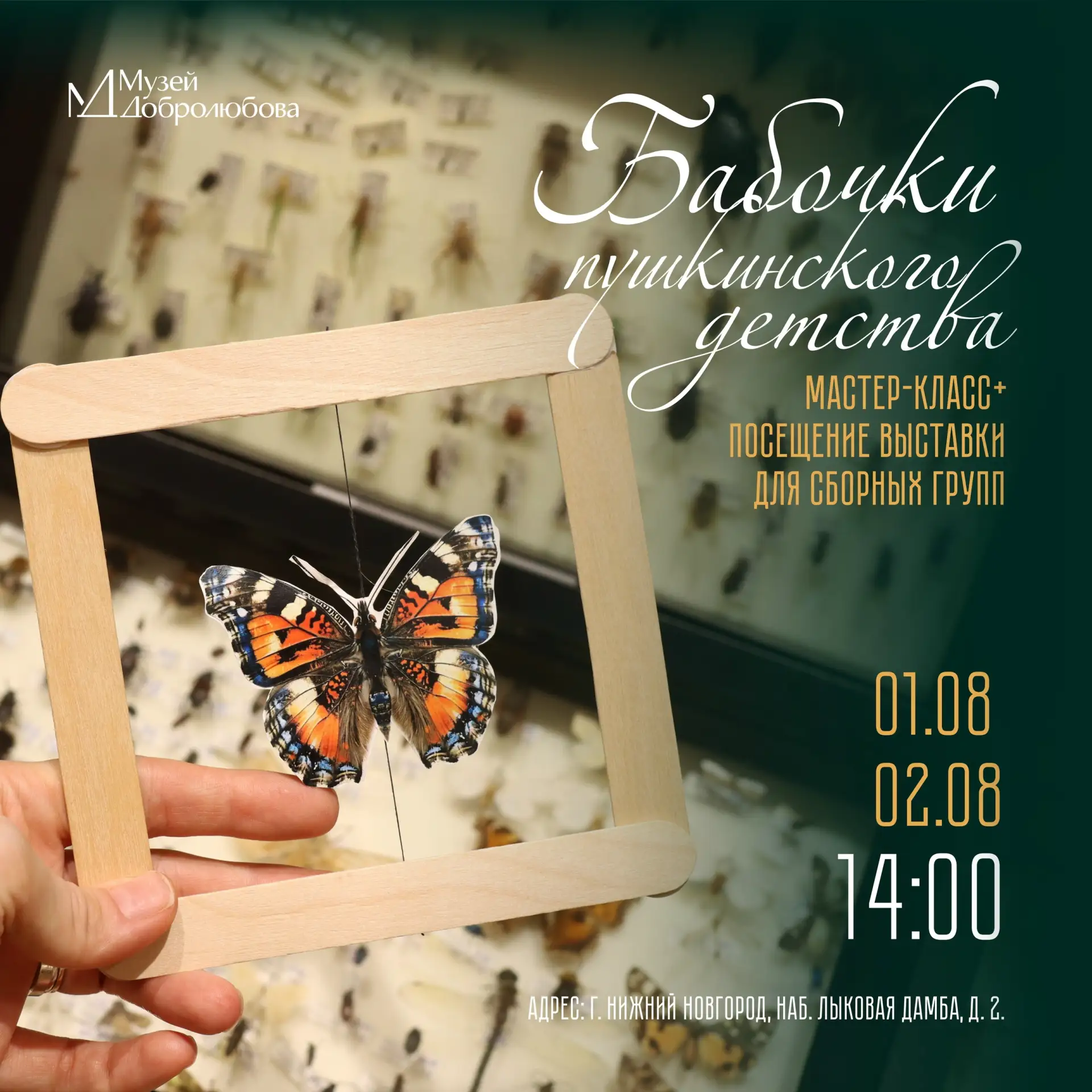 🦋 Бабочки пушкинского детства в музее Добролюбова 1 и 2 августа

В музее на набережной Лыковой дамб