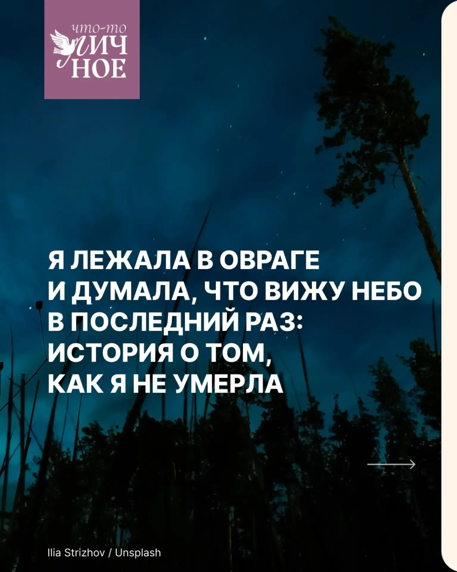 «Машина не должна — она обязана была упасть. Законы физики, известные даже мне, хотя предмет этот я 