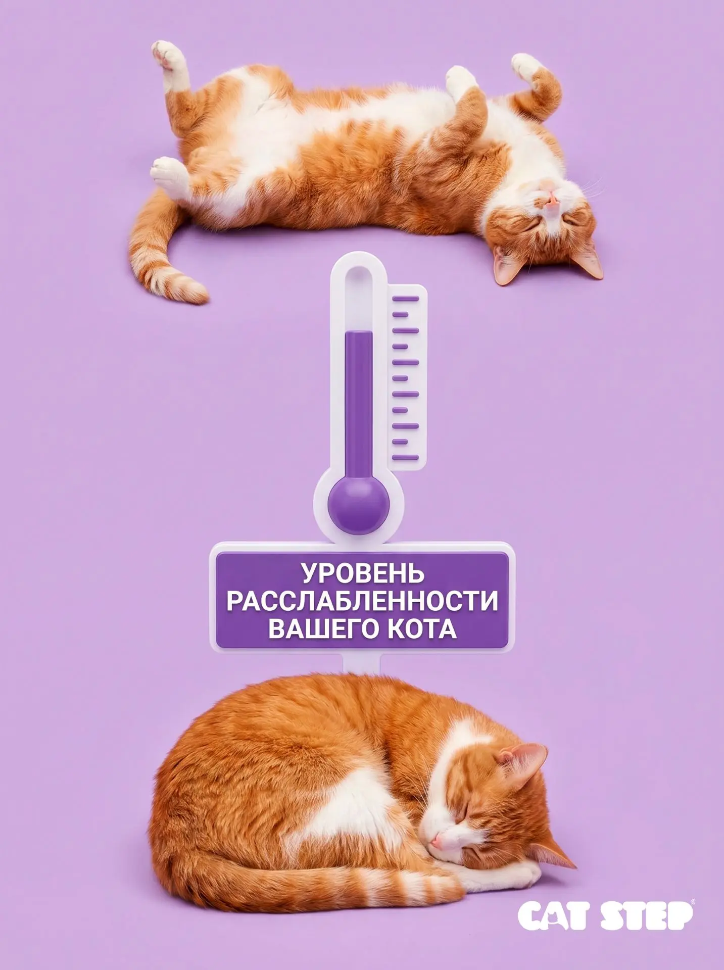 🐱 Учёные подсчитали, что коты спят по 16 часов в сутки. Но почему-то каждый раз в ново...