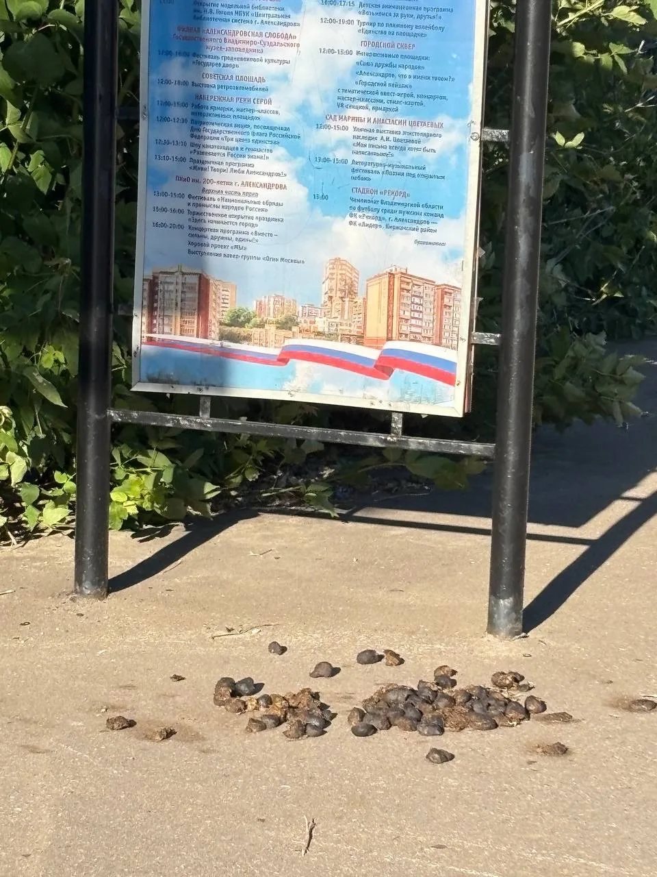 Вот так выглядит центральная улица города после праздника. Администрация, обратите вним...