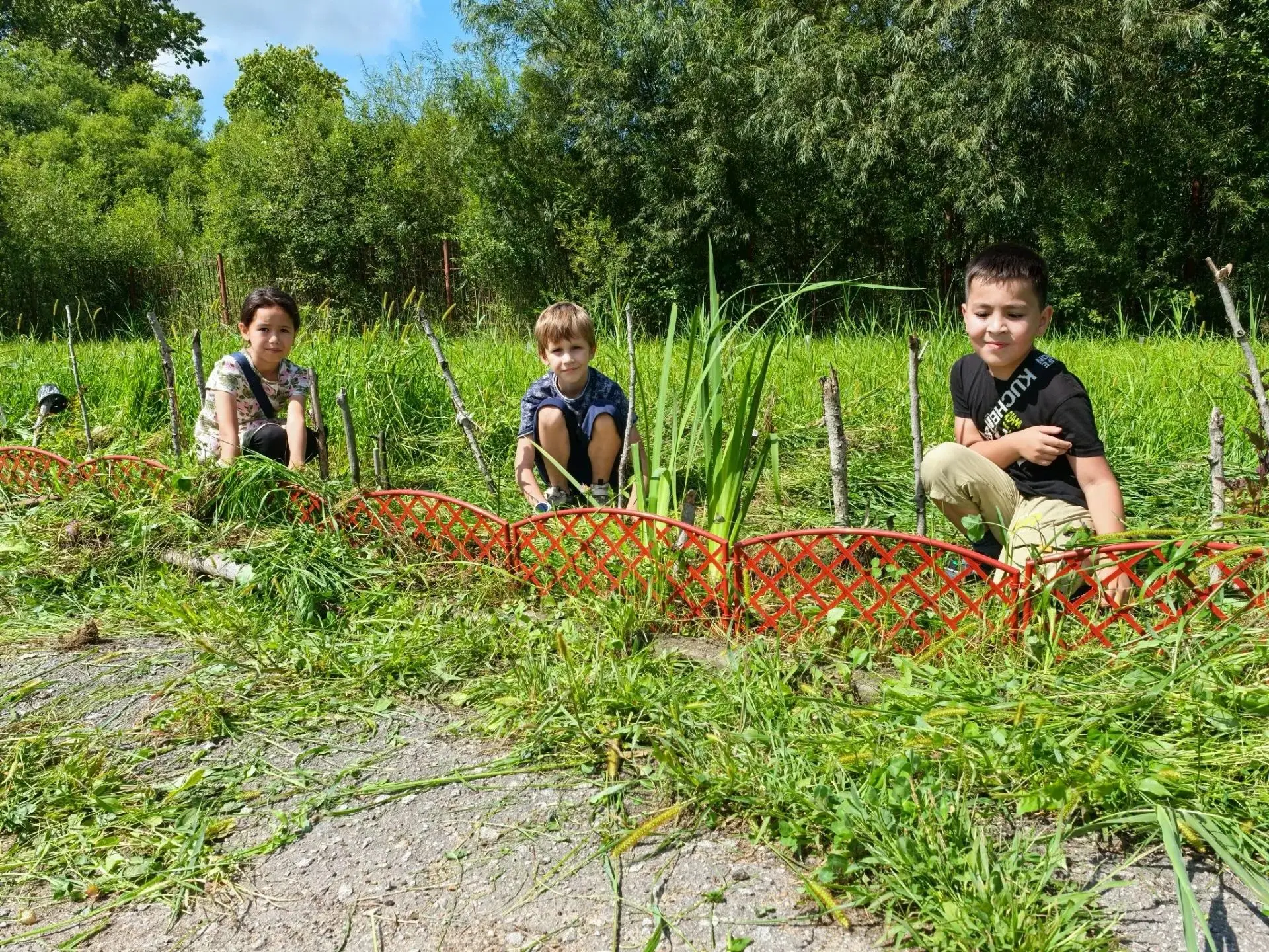 🌱Все классы принимали участие в городской акции "Клумба Дружбы": посадили цветы, куста...