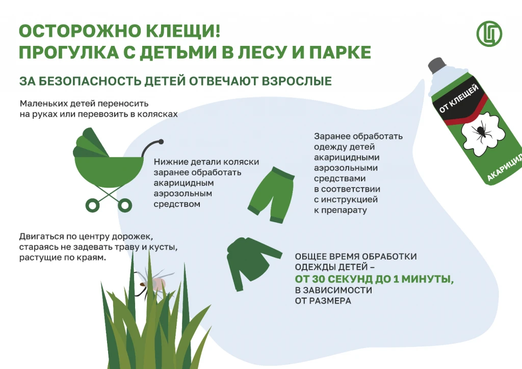 🕷️ Сезон прогулок на природе открыт, а вместе с ним активируются и клещи.