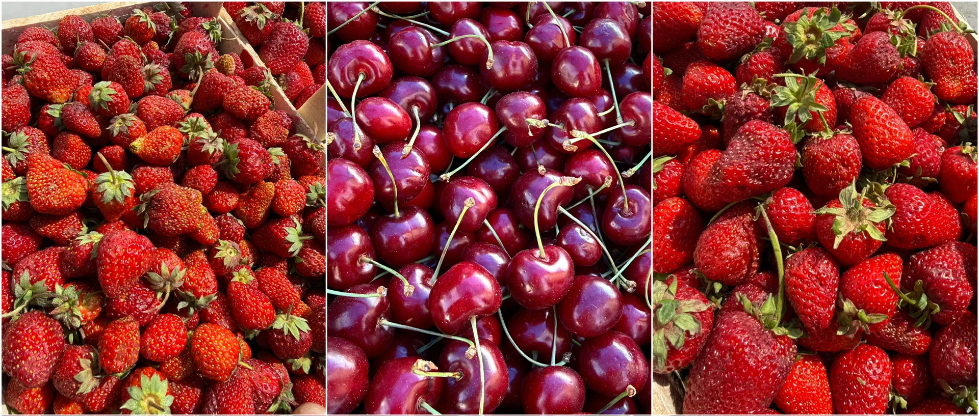 Свежая ягодка! Из Киргизии 🍓  Черный принц 1,9-2 кг - 1250₽ Клери 1,9-2 кг - 1350₽ Черешня 1,9-2 кг 