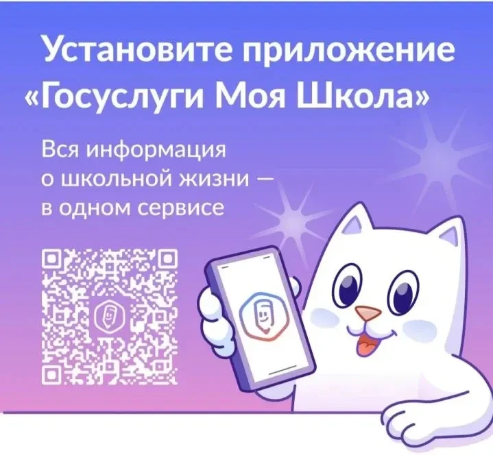 Во всех школах в обязательном порядке используют отечественную государственную информац...