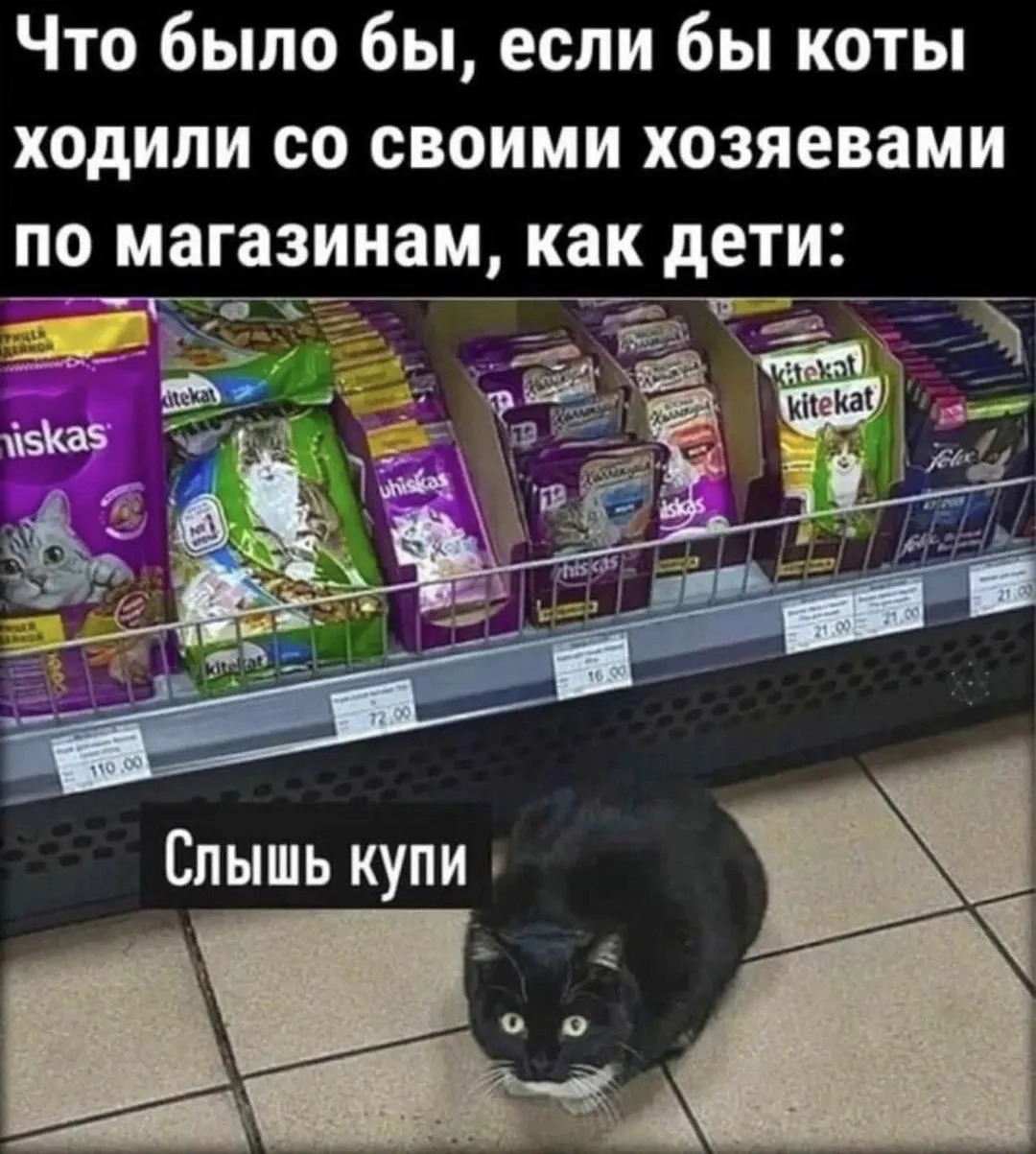 Я девочка, мне можно!