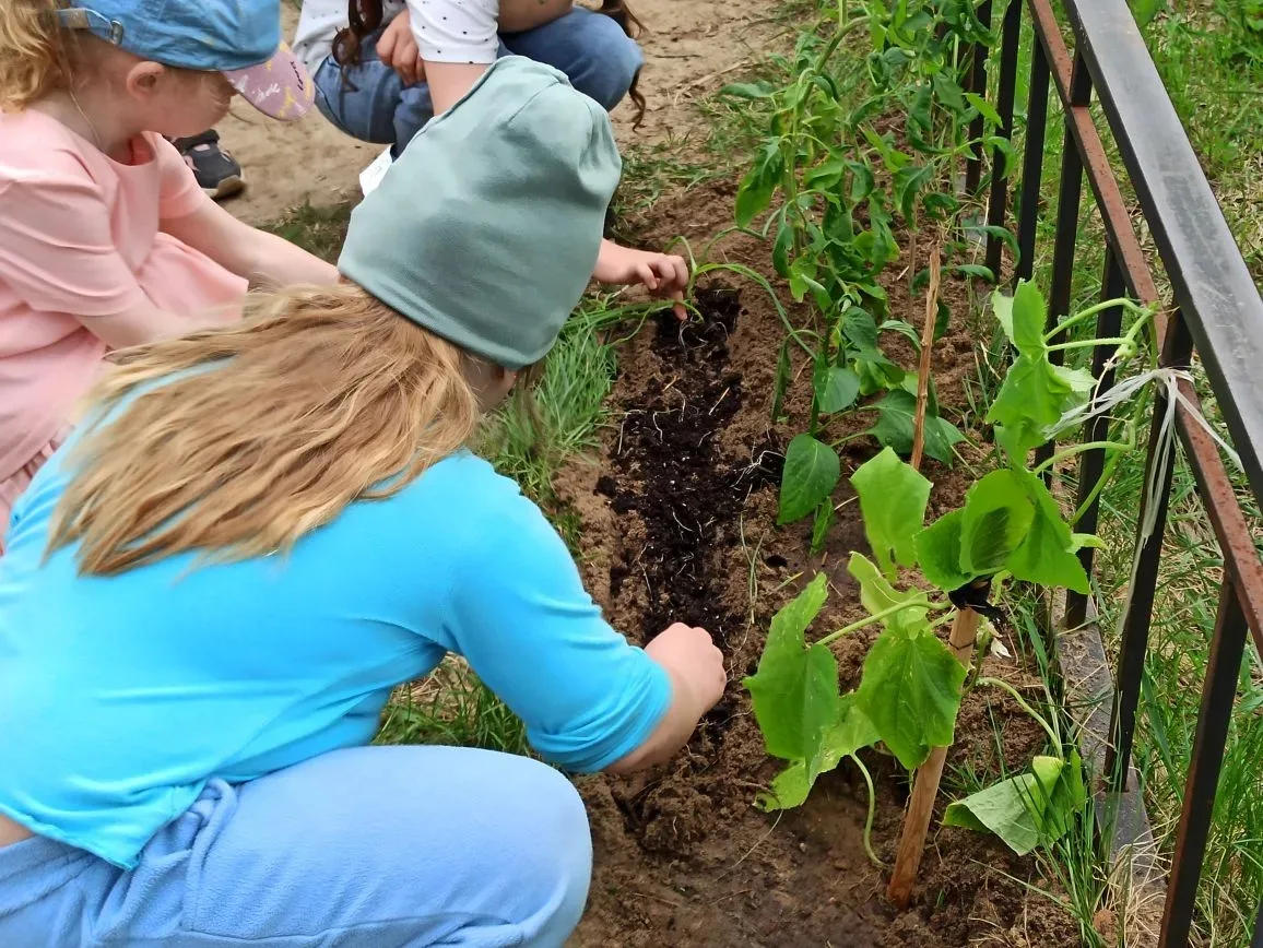 🌱 Наш маленький огород!