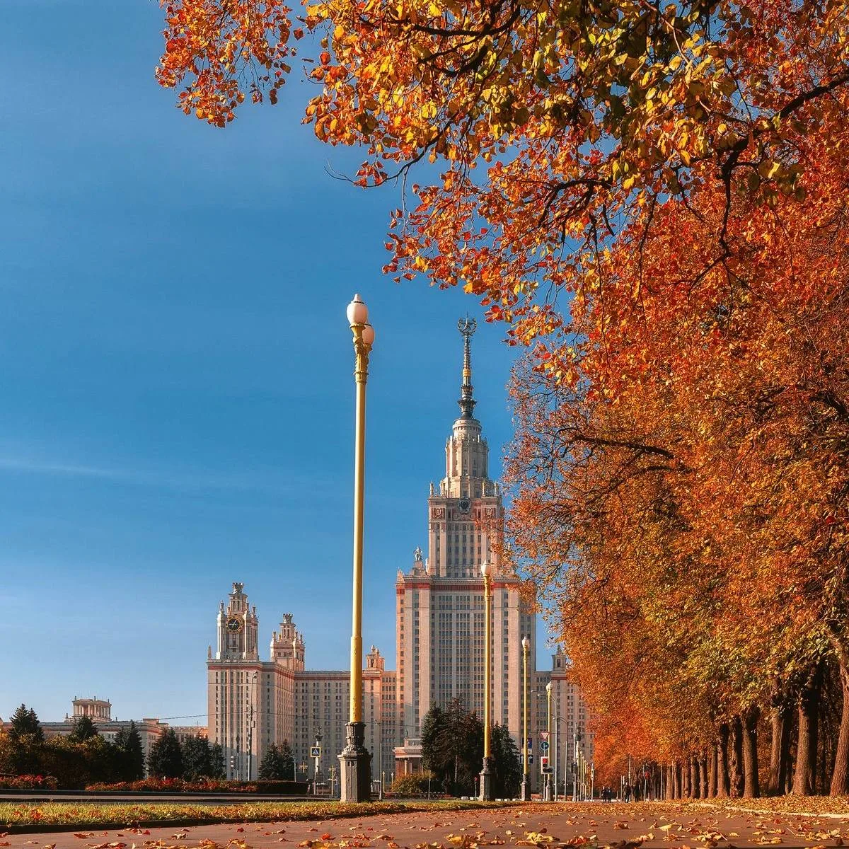 ☀️ Резкое потепление ожидает столицу в пятницу, будет до +18°C — «Фобос».