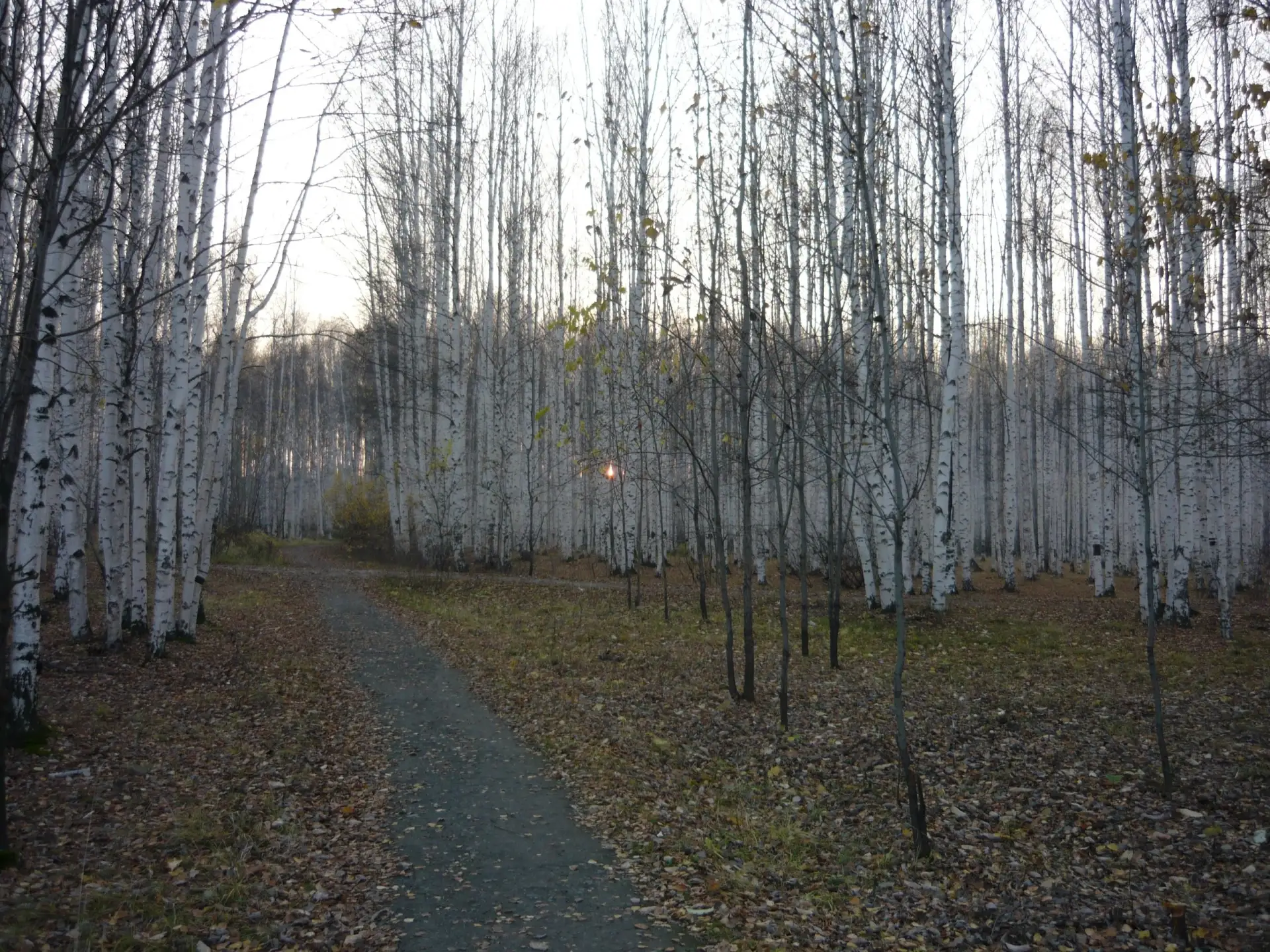 Присылайте Ваши фото в "Предложить пост"
