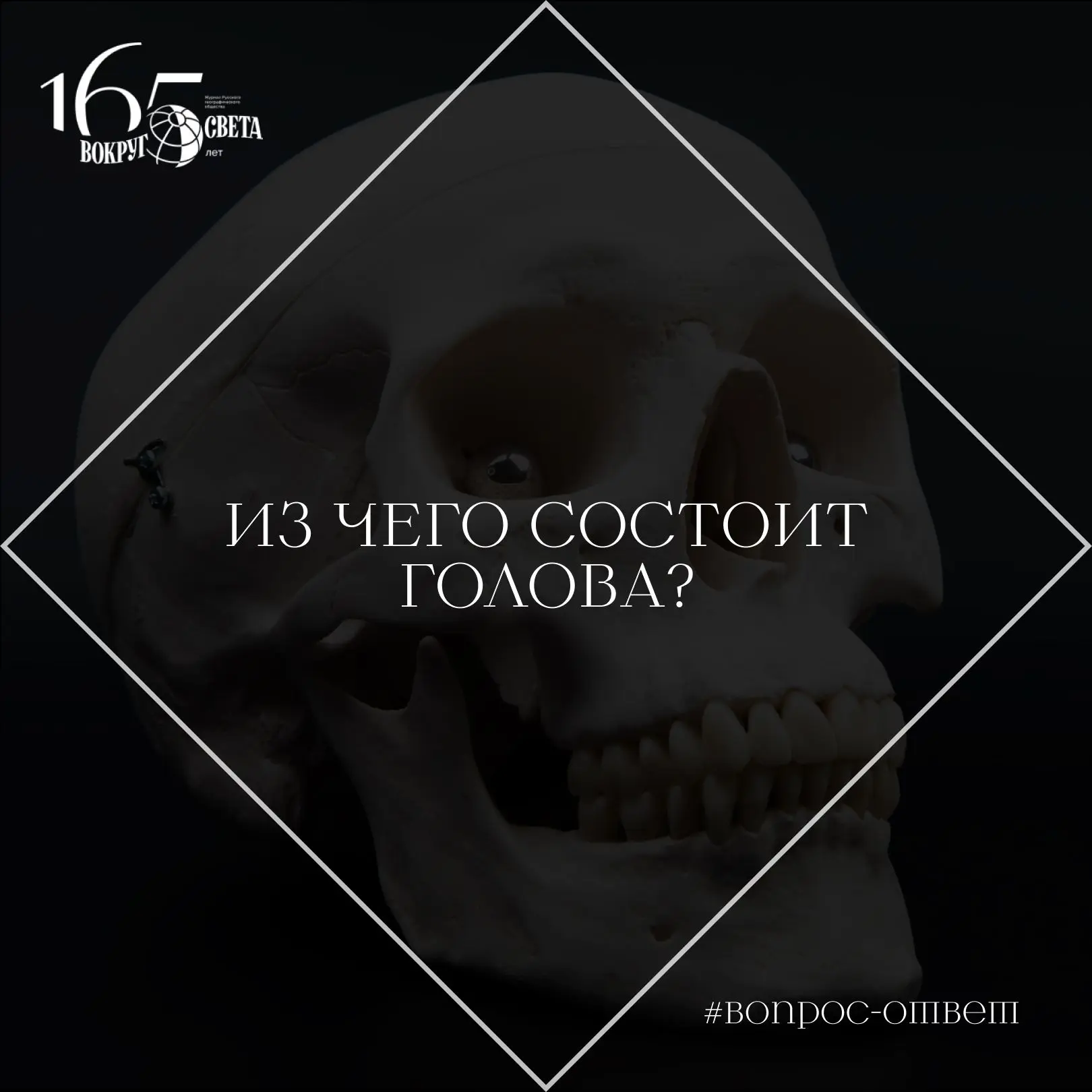 ❓ Из чего состоит голова?