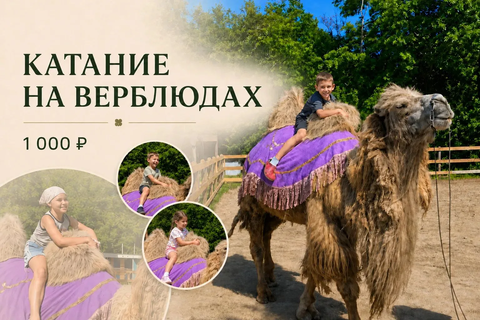 🐪 Катание на верблюдах в КЛЕВЕР ПАРКЕ 🍀