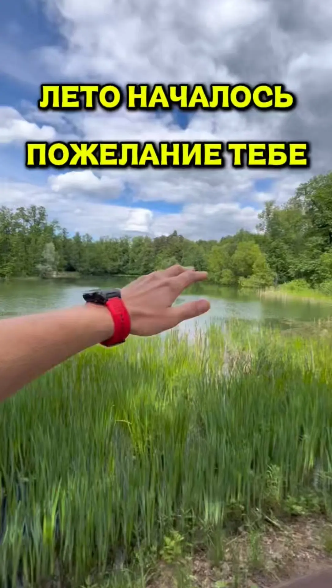 У тебя все лето впереди.