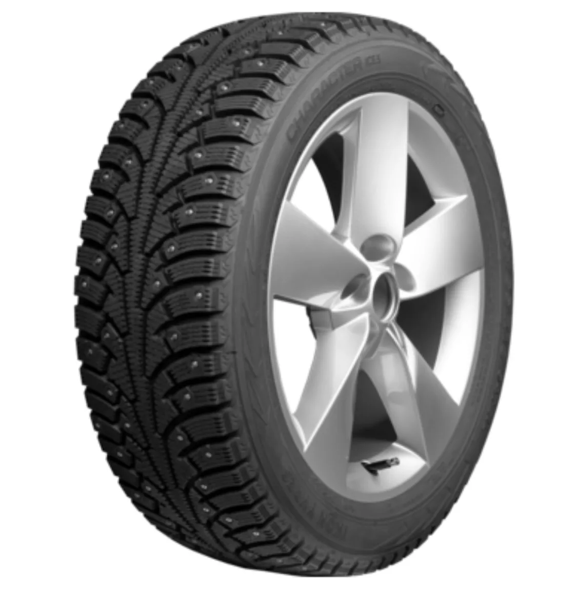 Полное наименование	Ikon 195/65R15 95T XL Character Ice 5 (Nordman 5) TL (шип.)
