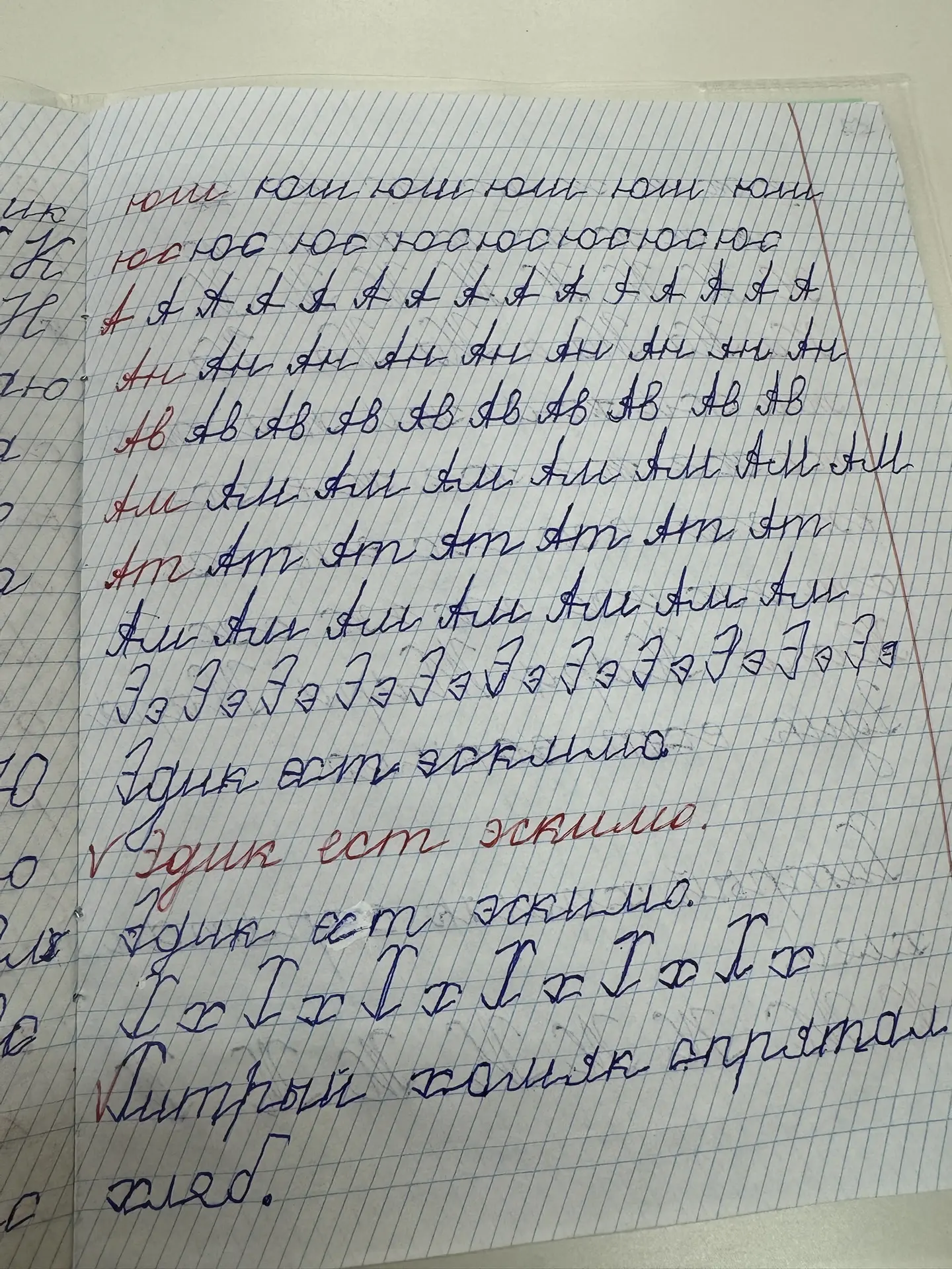 Похвастаемся чуть-чуть?😊