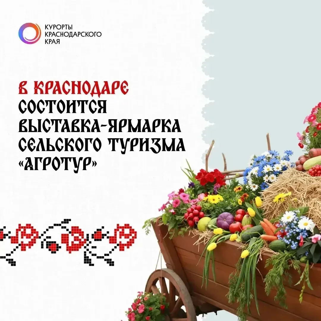 🌾 Агротуризм на Кубани активно развивается, объединяя отдых, гастрономию и традиции.