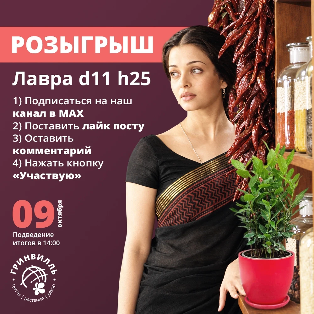 🎁 🍁 ПРОДОЛЖАЕМ ТЕМАТИЧЕСКИЕ РОЗЫГРЫШИ В МАХ! 🍁