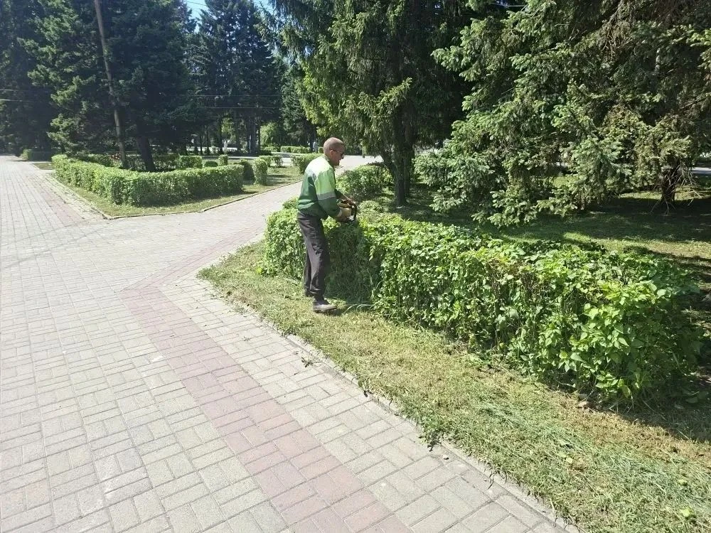 Рассказываем, какие работы по благоустройству ведутся в Бийске на этой неделе ⁣ 🌿Покос травы выполне