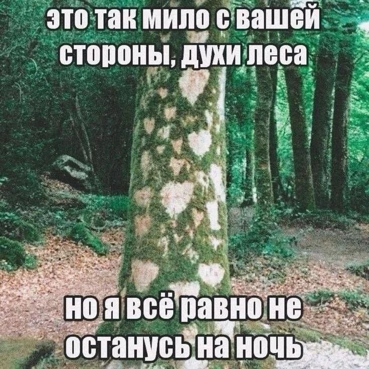 Картиночки от Фимочки