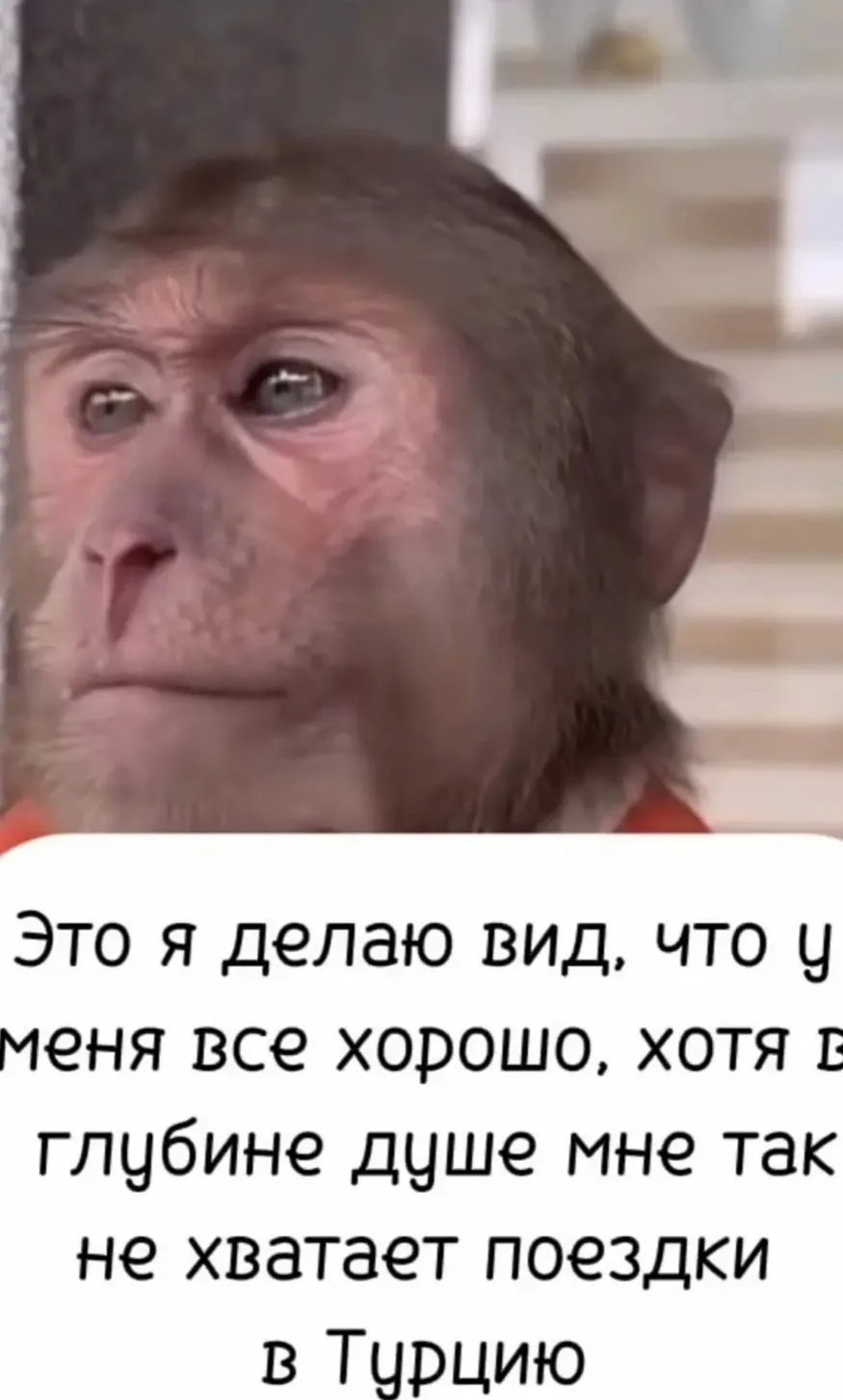 Необходимо поднять настроение!!!