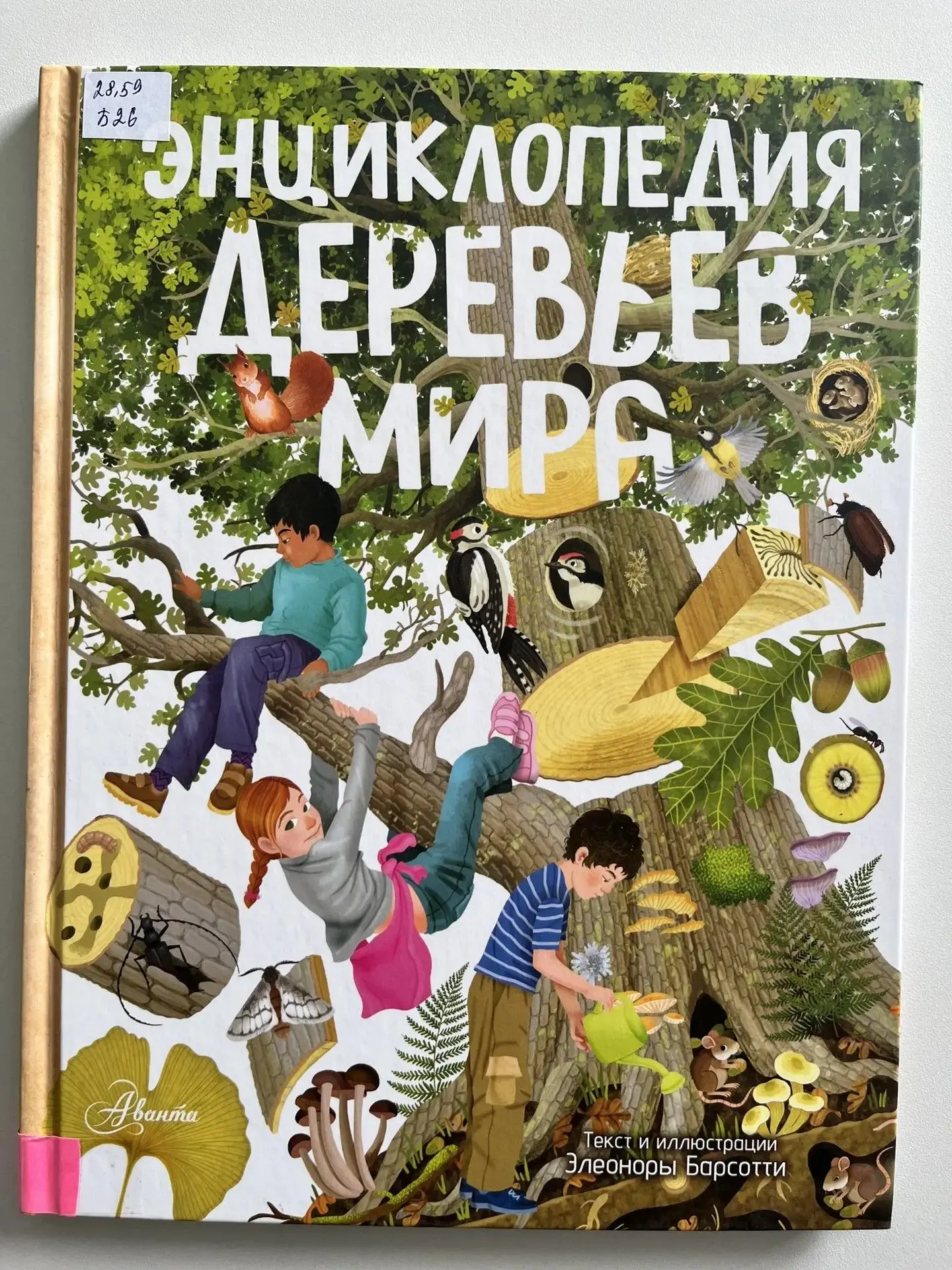 📖 Рубрика «День новой книги»: «Энциклопедия деревьев мира». Не знаете, что почитать? У...