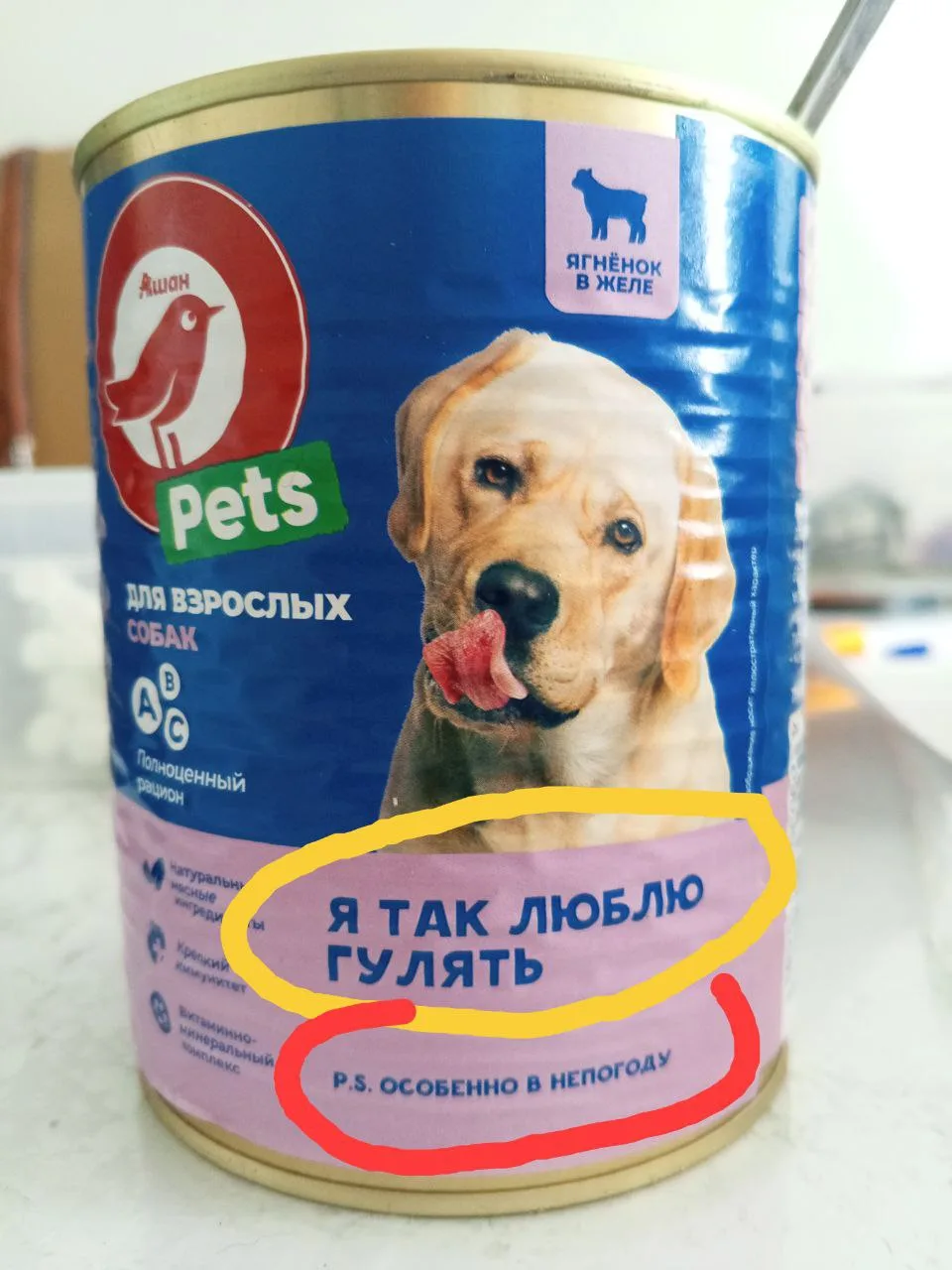 Человеко-мать принесла мне с работы эту собачью тушенку. Жрать, говорит, тебе это не надо, просто пр