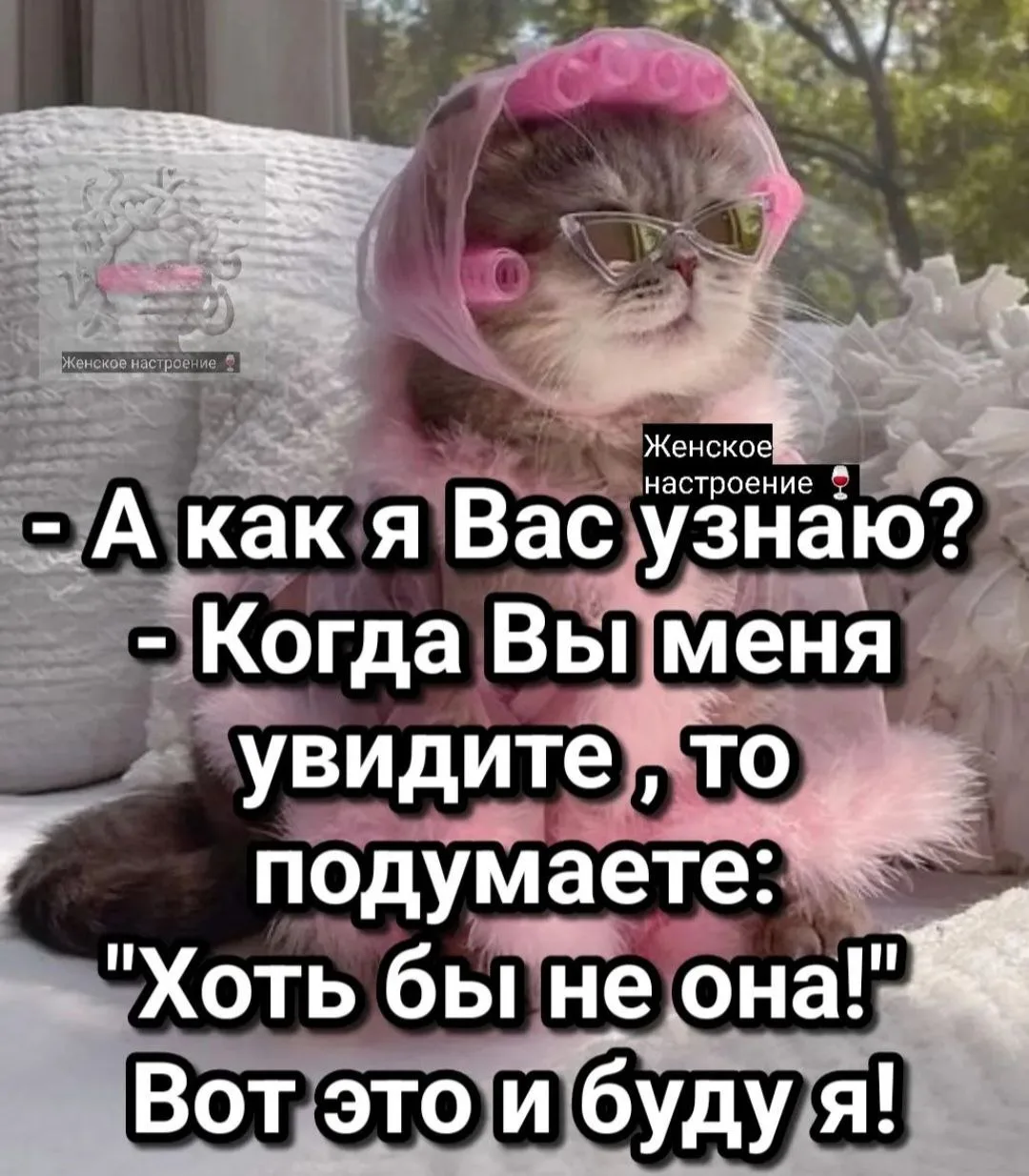 🎃 Весело у нас 🧨