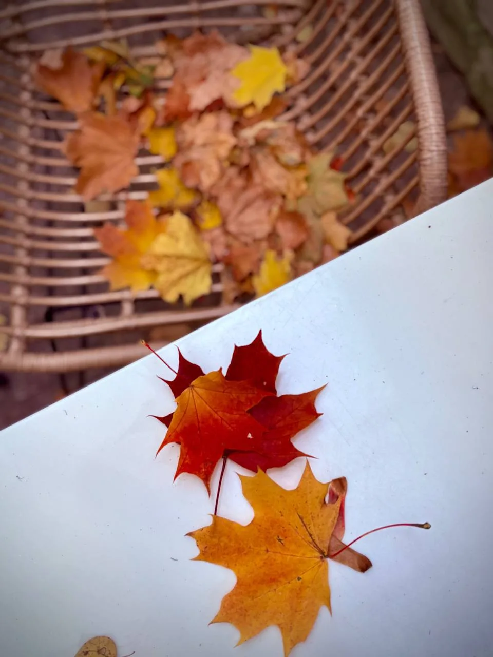 🍁Делимся расписанием МНР Клуба на октябрь