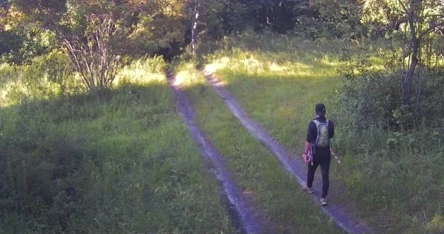 За лесами Саратовской области наблюдают фотоловушки

В Саратовской области развивается система лесно