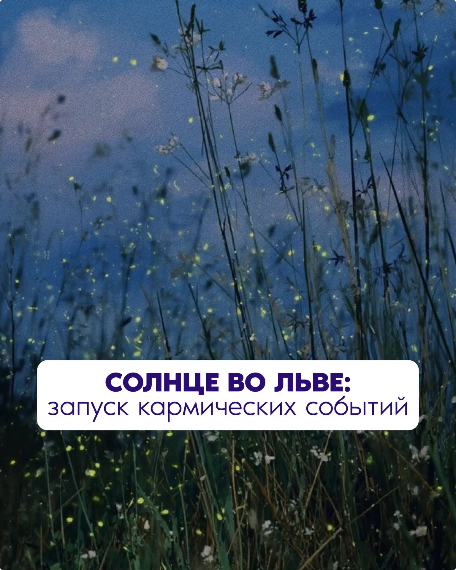 Солнце во льве: запуск кармических событий

В середине лета жара обычно переходит в фазу мудрого пок
