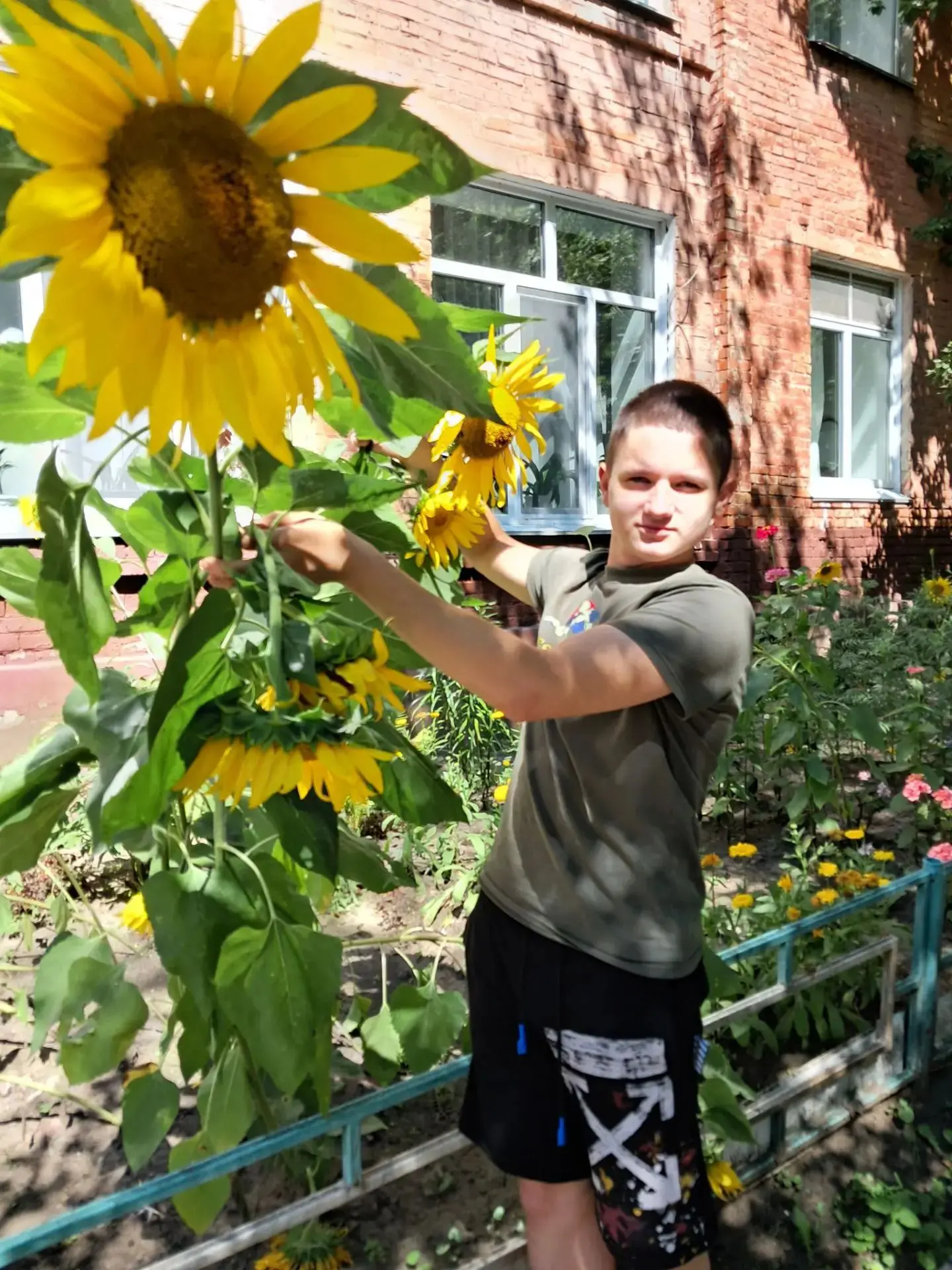 Как красиво в августе   на клумбах! 🌺 Огород тоже не отстает - урожай уже собираем 🍅🥒