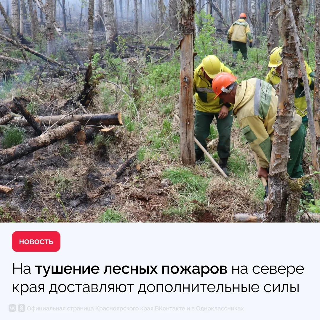 Сосновоборск | Березовка | Красноярск🏡

Для усиления работ по тушению лесных пожаров на севере края