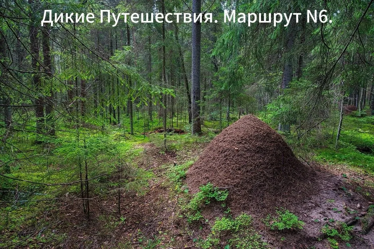 Маршрут №6.