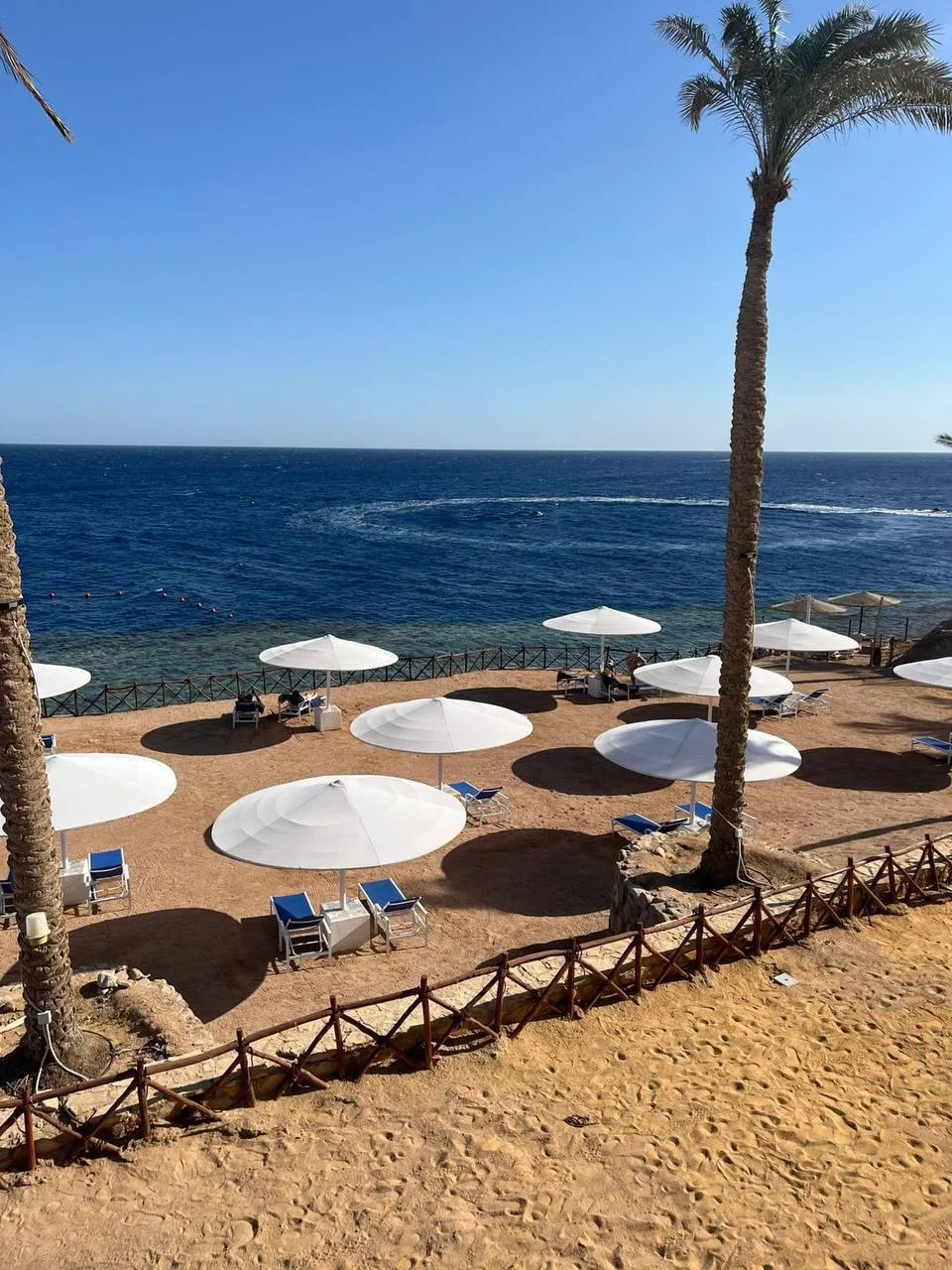 ⛱ Полностью реновированный Invidia Coral Beach Tiran 4* - новая звезда Sharks Bay в Шар...