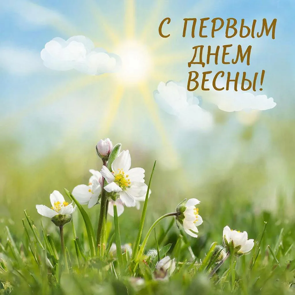 ☀️С 1 марта, большая школьная семья! ✨🌸