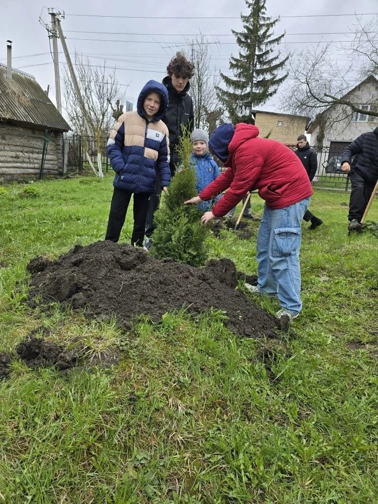 Деревья не боятся дождя. И мы тоже. 🌧️🌳Обычно в такую погоду хочется закутаться в пле...