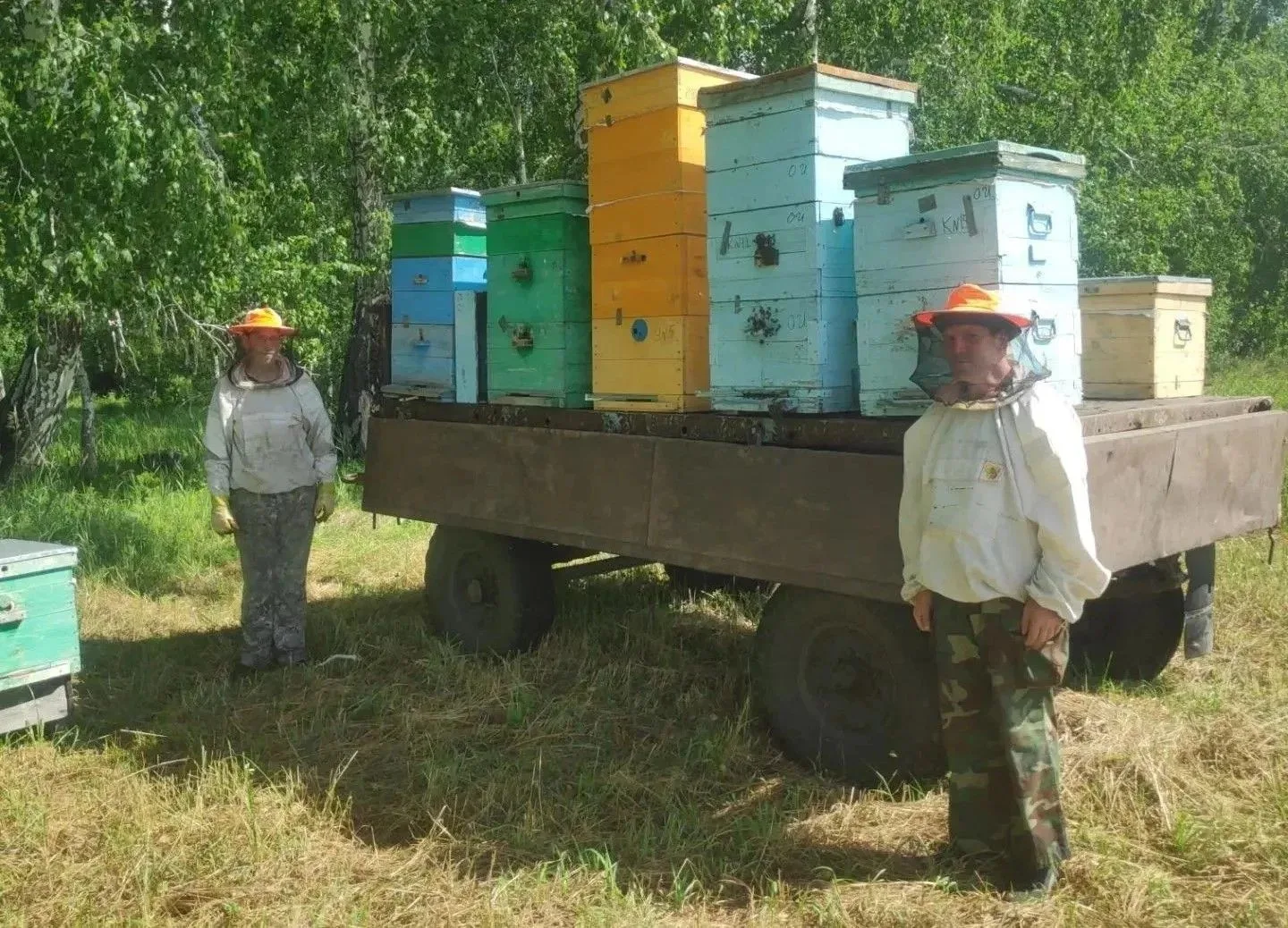 🐝 «Я уже делаю!»: как пчеловодство в селе Лобино меняет жизни людей