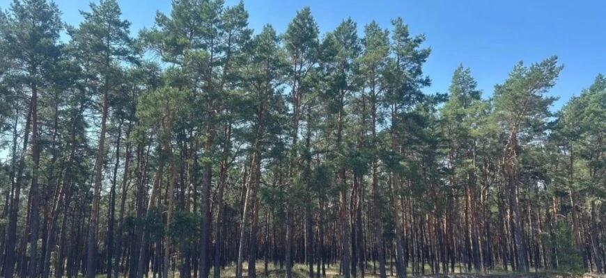 Первые осенние заморозки ударят в Ростовской области