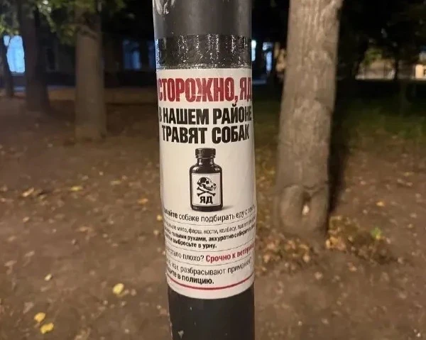 🚫 На Фрунзенской набережной предупредили о травле собак