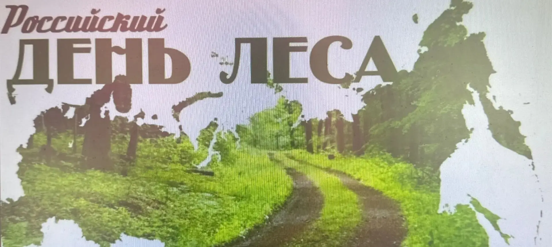 🍀15-16 сентября Российский день леса, именно такой теме было посвящено коррекционное у...